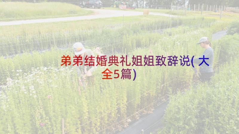 弟弟结婚典礼姐姐致辞说(大全5篇)