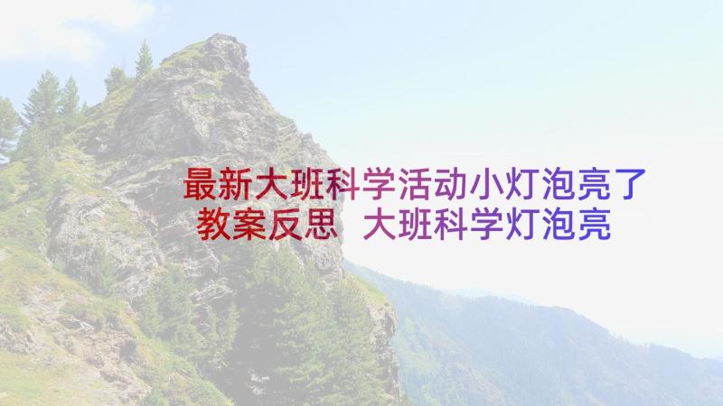 最新大班科学活动小灯泡亮了教案反思 大班科学灯泡亮了教案(汇总5篇)