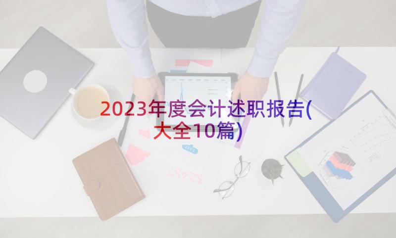 2023年度会计述职报告(大全10篇)