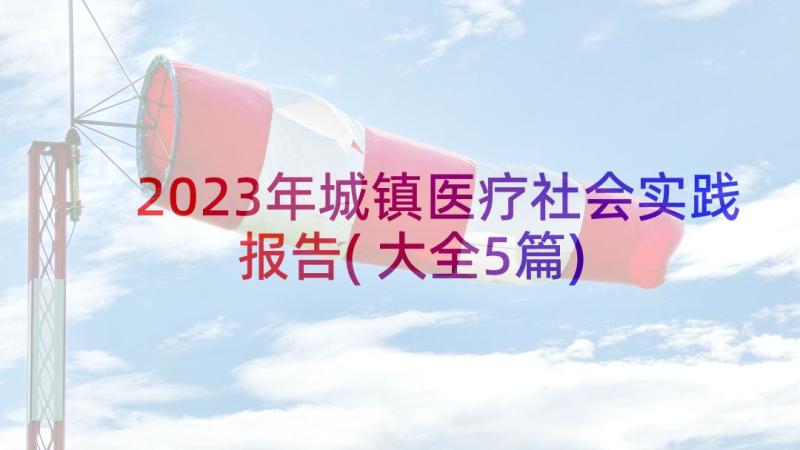 2023年城镇医疗社会实践报告(大全5篇)