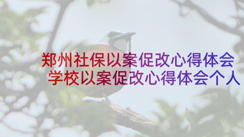 郑州社保以案促改心得体会 学校以案促改心得体会个人(优质10篇)