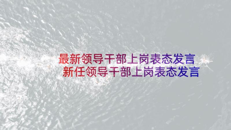 最新领导干部上岗表态发言 新任领导干部上岗表态发言稿(优质5篇)