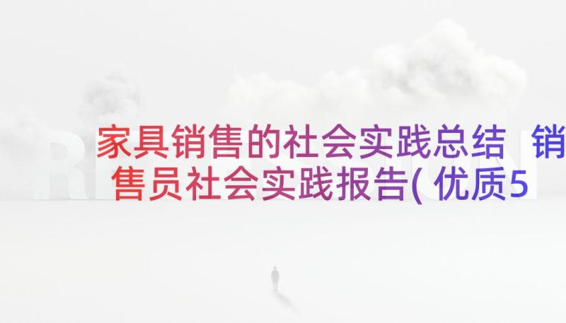 家具销售的社会实践总结 销售员社会实践报告(优质5篇)