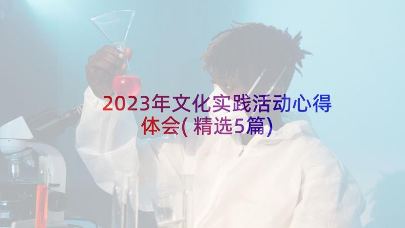 2023年文化实践活动心得体会(精选5篇)