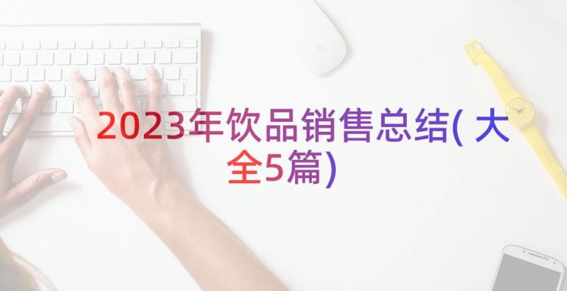 2023年饮品销售总结(大全5篇)