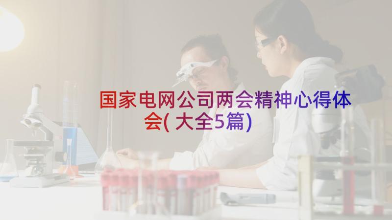 国家电网公司两会精神心得体会(大全5篇)