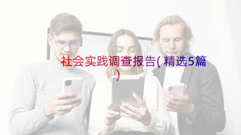 社会实践调查报告(精选5篇)