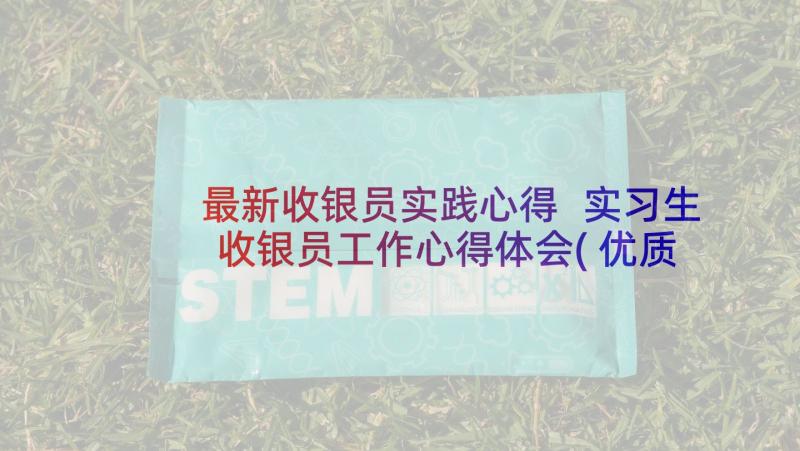 最新收银员实践心得 实习生收银员工作心得体会(优质9篇)