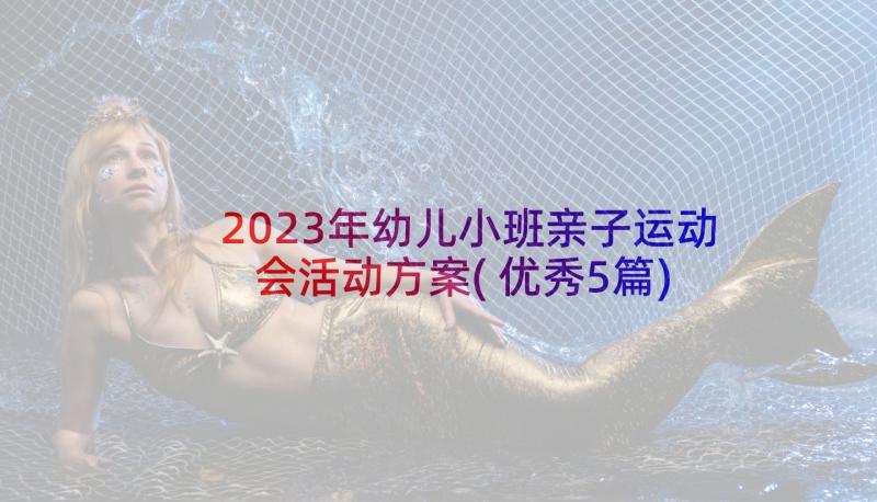 2023年幼儿小班亲子运动会活动方案(优秀5篇)