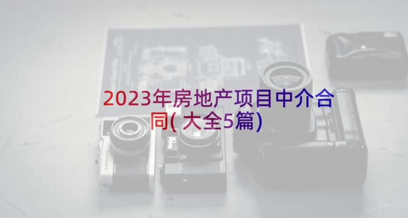 2023年房地产项目中介合同(大全5篇)