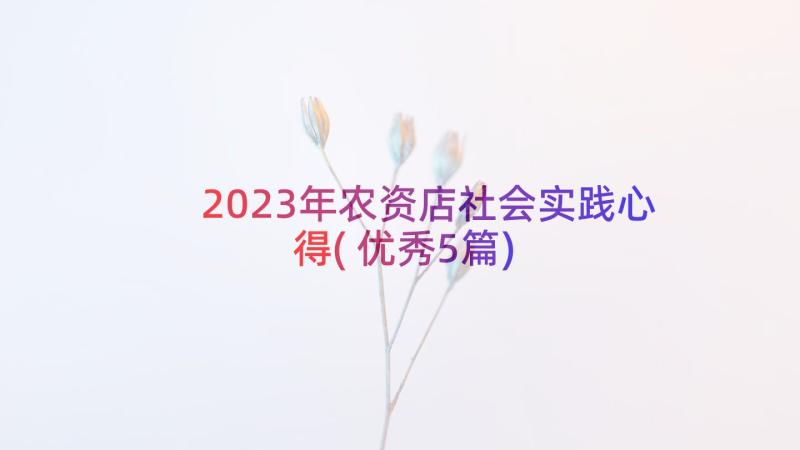 2023年农资店社会实践心得(优秀5篇)