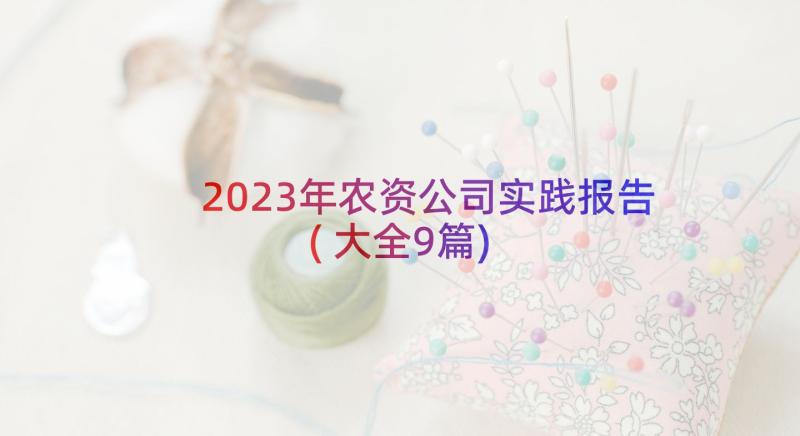 2023年农资公司实践报告(大全9篇)