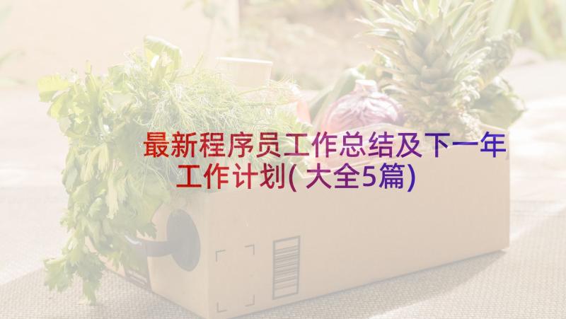 最新程序员工作总结及下一年工作计划(大全5篇)