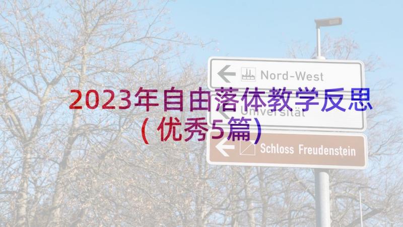 2023年自由落体教学反思(优秀5篇)