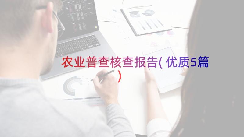 农业普查核查报告(优质5篇)