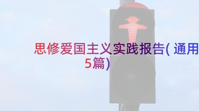 思修爱国主义实践报告(通用5篇)