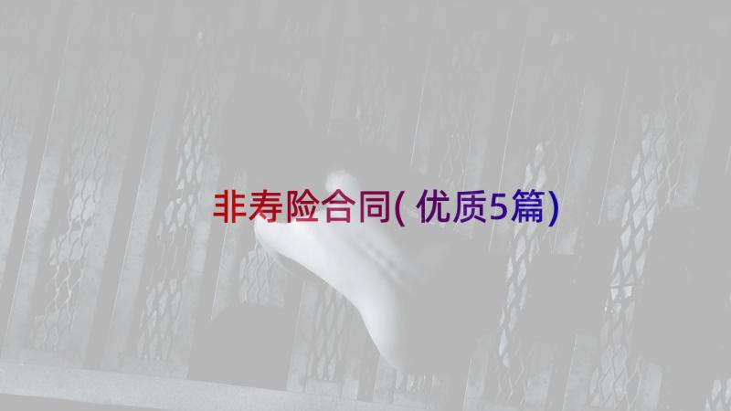 非寿险合同(优质5篇)