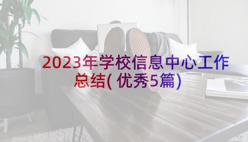 2023年学校信息中心工作总结(优秀5篇)