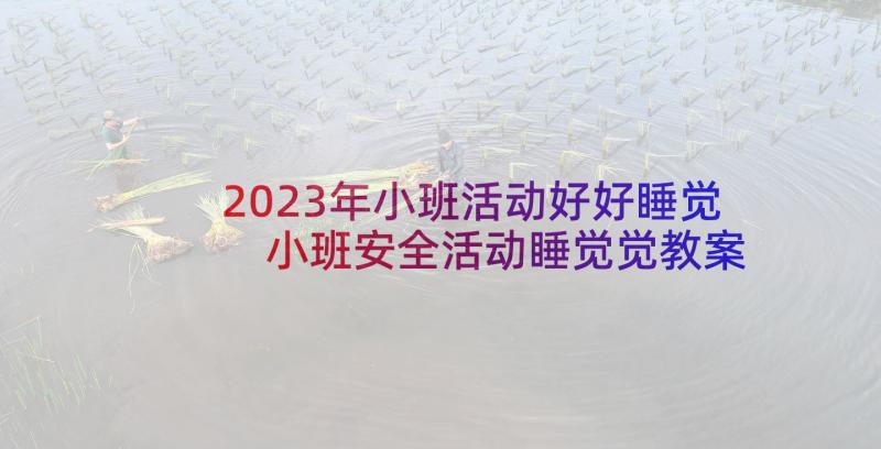 2023年小班活动好好睡觉 小班安全活动睡觉觉教案(大全5篇)