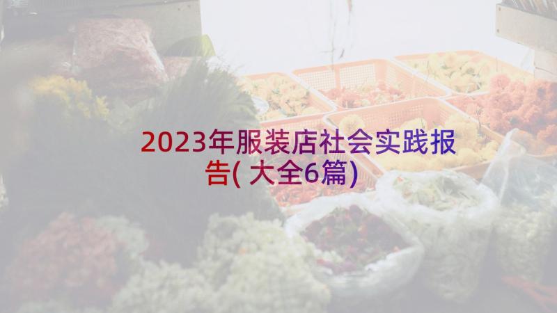 2023年服装店社会实践报告(大全6篇)