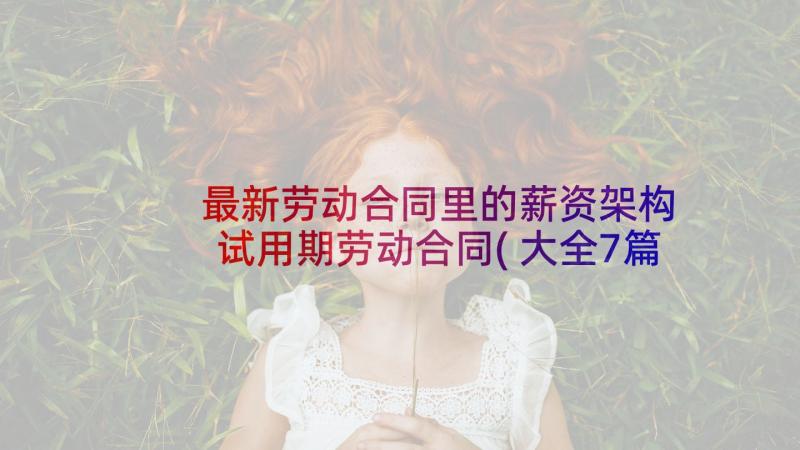 最新劳动合同里的薪资架构 试用期劳动合同(大全7篇)