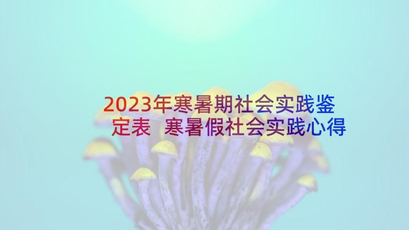 2023年寒暑期社会实践鉴定表 寒暑假社会实践心得体会(大全6篇)