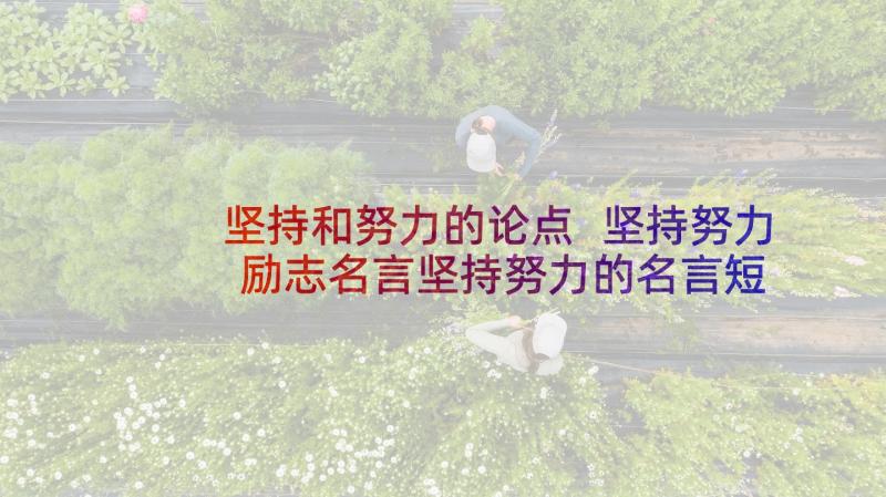 坚持和努力的论点 坚持努力励志名言坚持努力的名言短句(大全7篇)