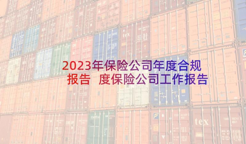 2023年保险公司年度合规报告 度保险公司工作报告(通用8篇)