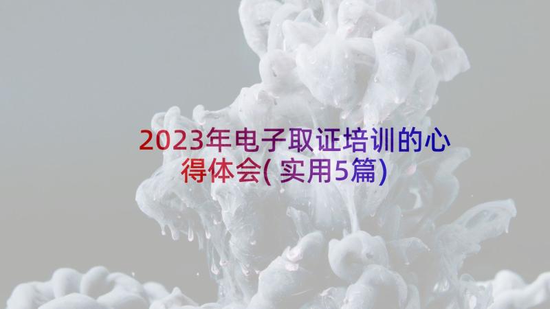 2023年电子取证培训的心得体会(实用5篇)