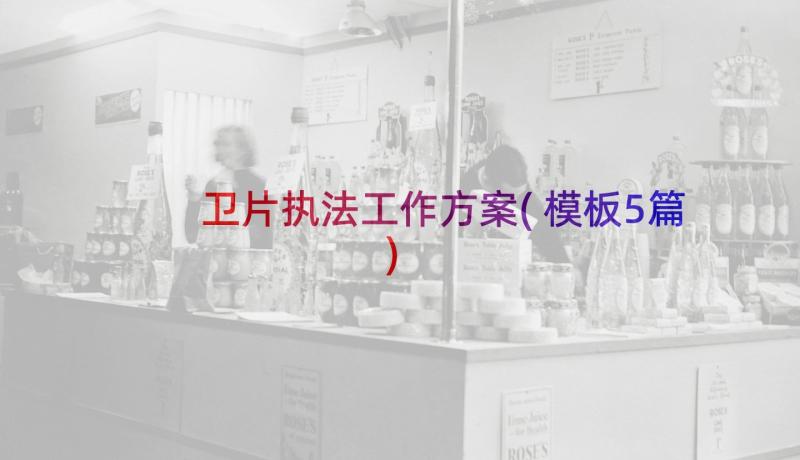 卫片执法工作方案(模板5篇)