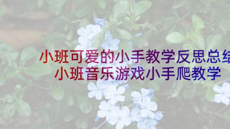 小班可爱的小手教学反思总结 小班音乐游戏小手爬教学反思(汇总5篇)