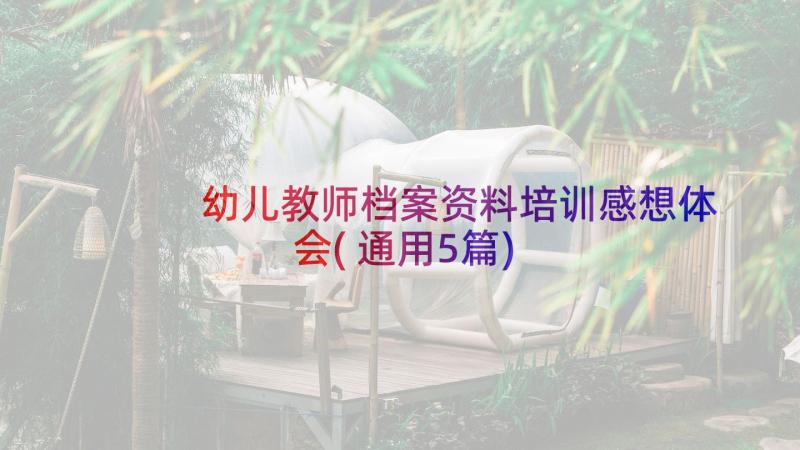 幼儿教师档案资料培训感想体会(通用5篇)