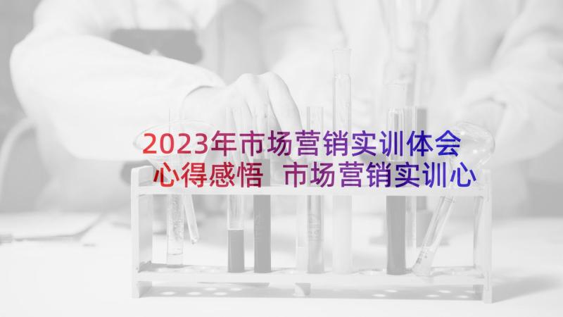 2023年市场营销实训体会心得感悟 市场营销实训心得体会(优秀5篇)