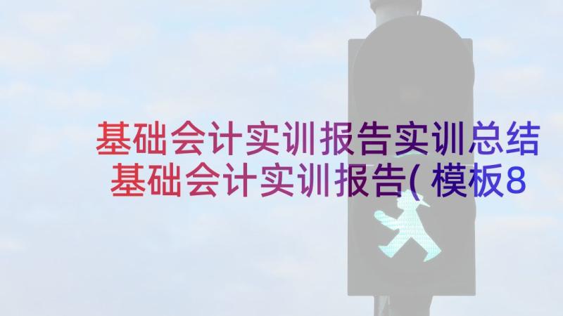 基础会计实训报告实训总结 基础会计实训报告(模板8篇)