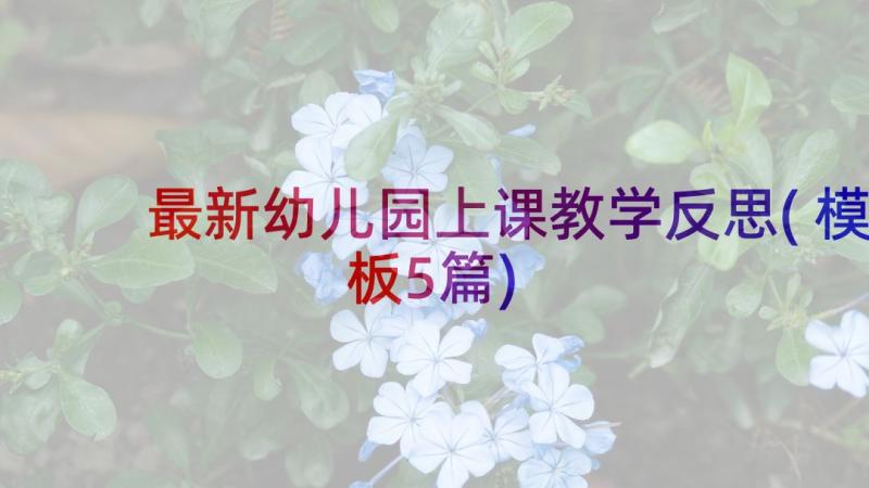 最新幼儿园上课教学反思(模板5篇)