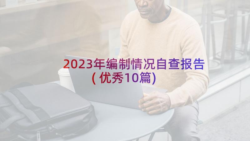 2023年编制情况自查报告(优秀10篇)