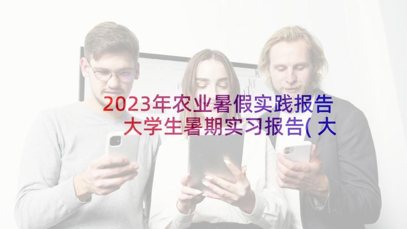 2023年农业暑假实践报告 大学生暑期实习报告(大全5篇)