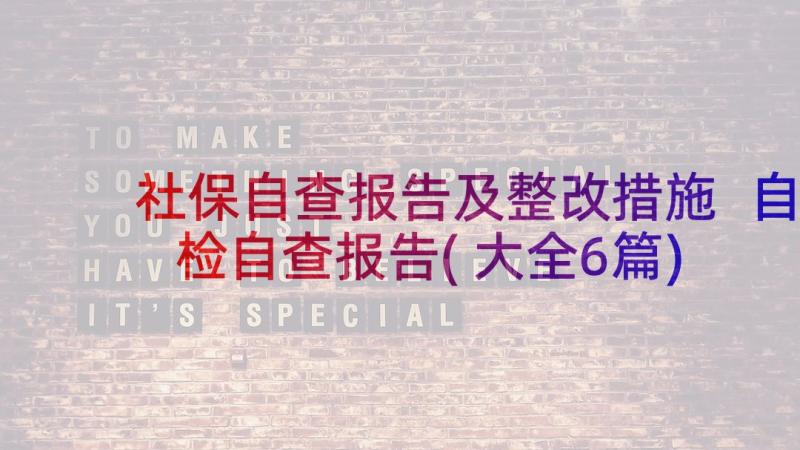 社保自查报告及整改措施 自检自查报告(大全6篇)