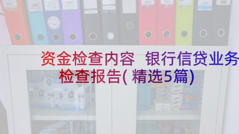 资金检查内容 银行信贷业务检查报告(精选5篇)