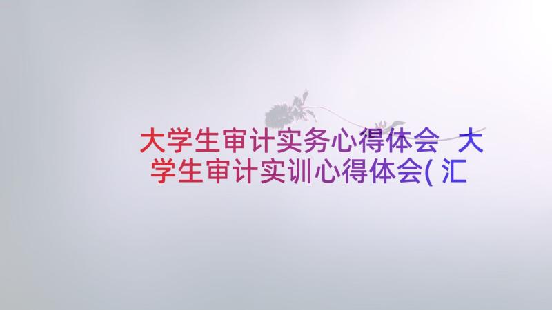 大学生审计实务心得体会 大学生审计实训心得体会(汇总5篇)