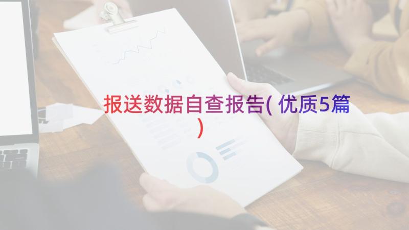 报送数据自查报告(优质5篇)