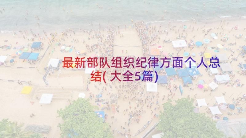 最新部队组织纪律方面个人总结(大全5篇)