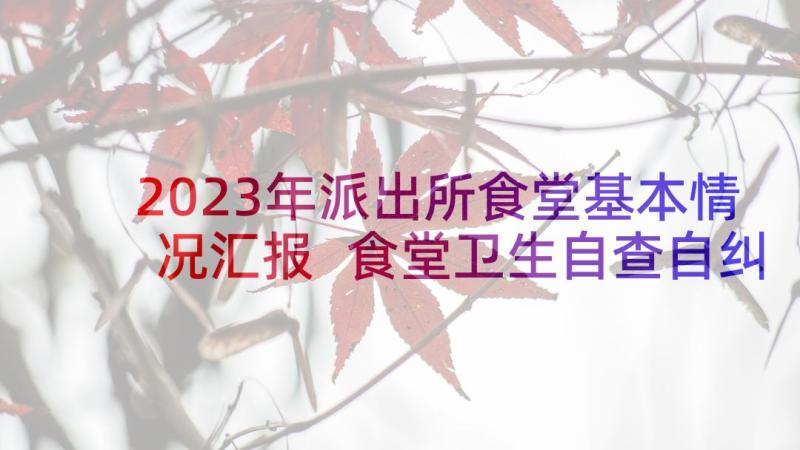 2023年派出所食堂基本情况汇报 食堂卫生自查自纠报告(优质7篇)