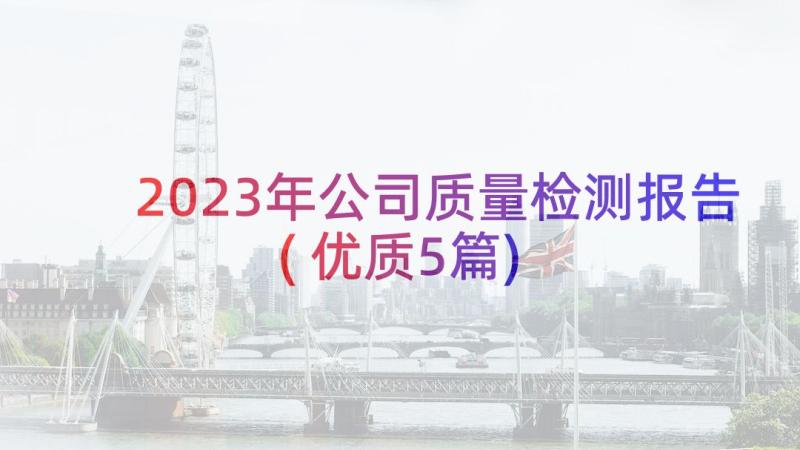 2023年公司质量检测报告(优质5篇)