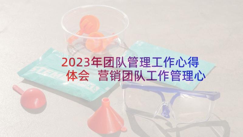 2023年团队管理工作心得体会 营销团队工作管理心得体会(实用5篇)