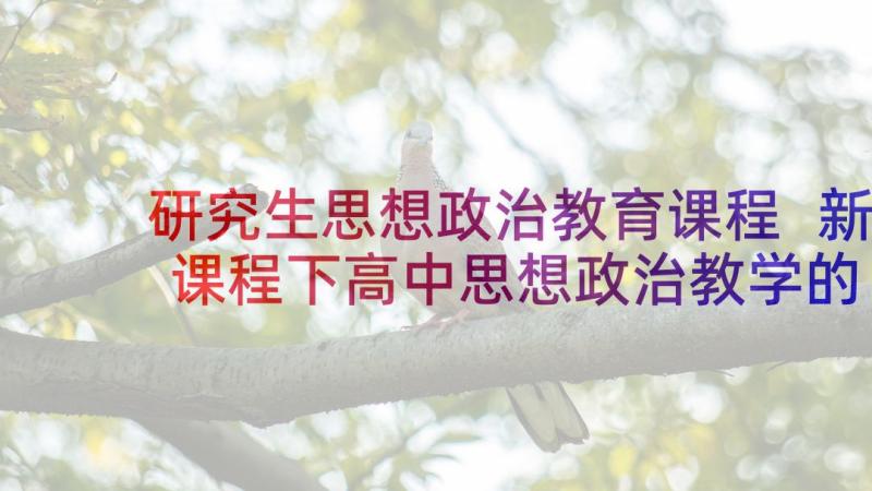 研究生思想政治教育课程 新课程下高中思想政治教学的思考(实用5篇)