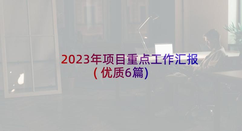 2023年项目重点工作汇报(优质6篇)