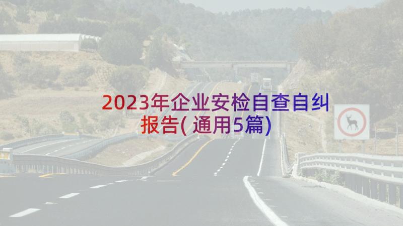 2023年企业安检自查自纠报告(通用5篇)