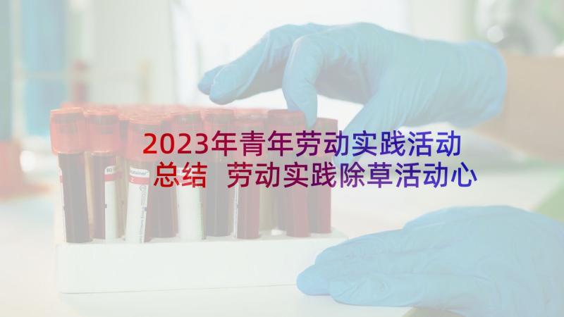 2023年青年劳动实践活动总结 劳动实践除草活动心得体会(汇总8篇)