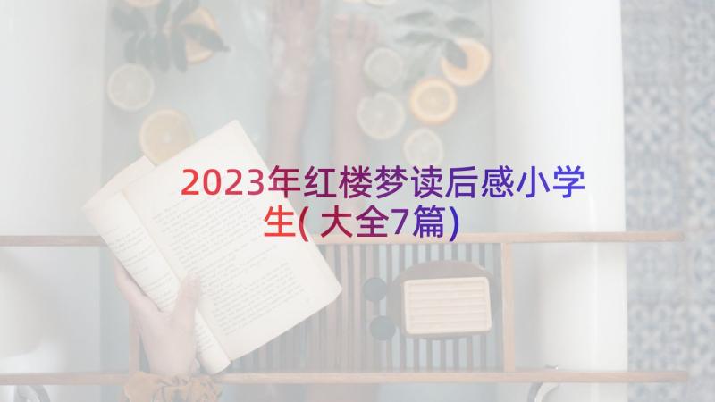 2023年红楼梦读后感小学生(大全7篇)